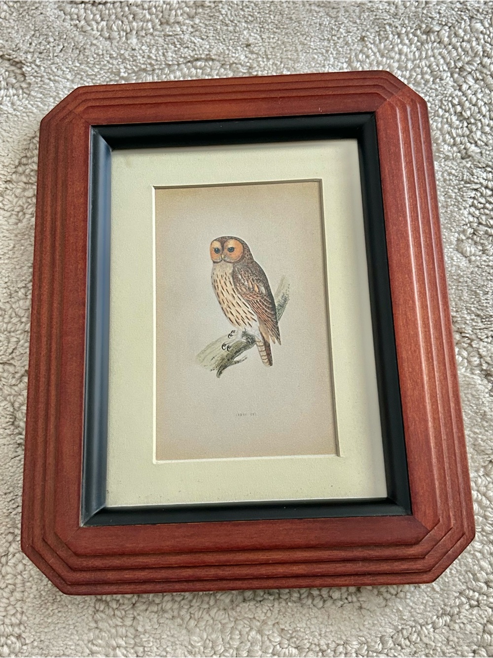 Owl Art Print Framed Matted Wall Decor 9.5" x 7.5" Wood Frame Miniature Art